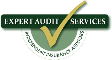 expert audit services logo